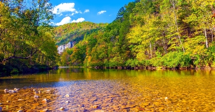 Arkansas river surrounded by trees