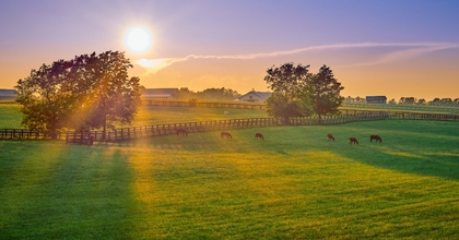Kentucky landscape with open field of grass and horses