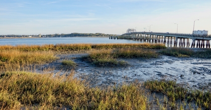 South Carolina landscape showing bridge with camper driving on it and marshy coast