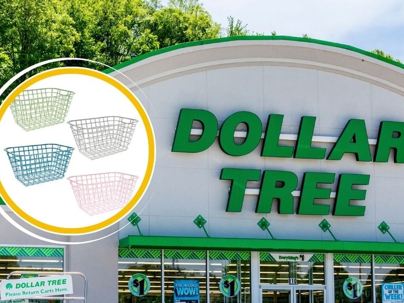 15 Random (But Amazing) Dollar Tree Items We're Absolutely Buying