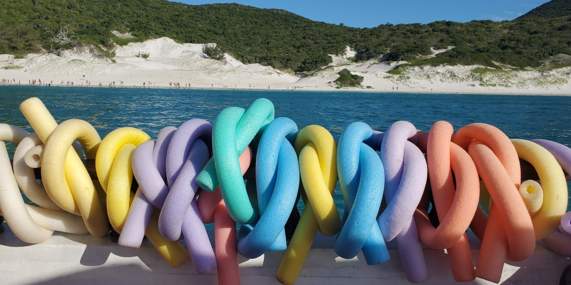 Brazil Beach Zoom Background