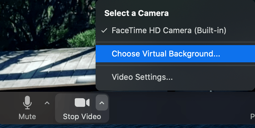 Choose Virtual Background in Zoom