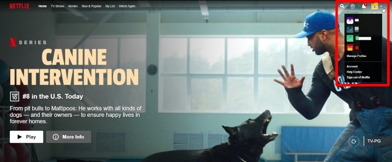 How to Cancel Netflix in Just a Few Minutes or Less