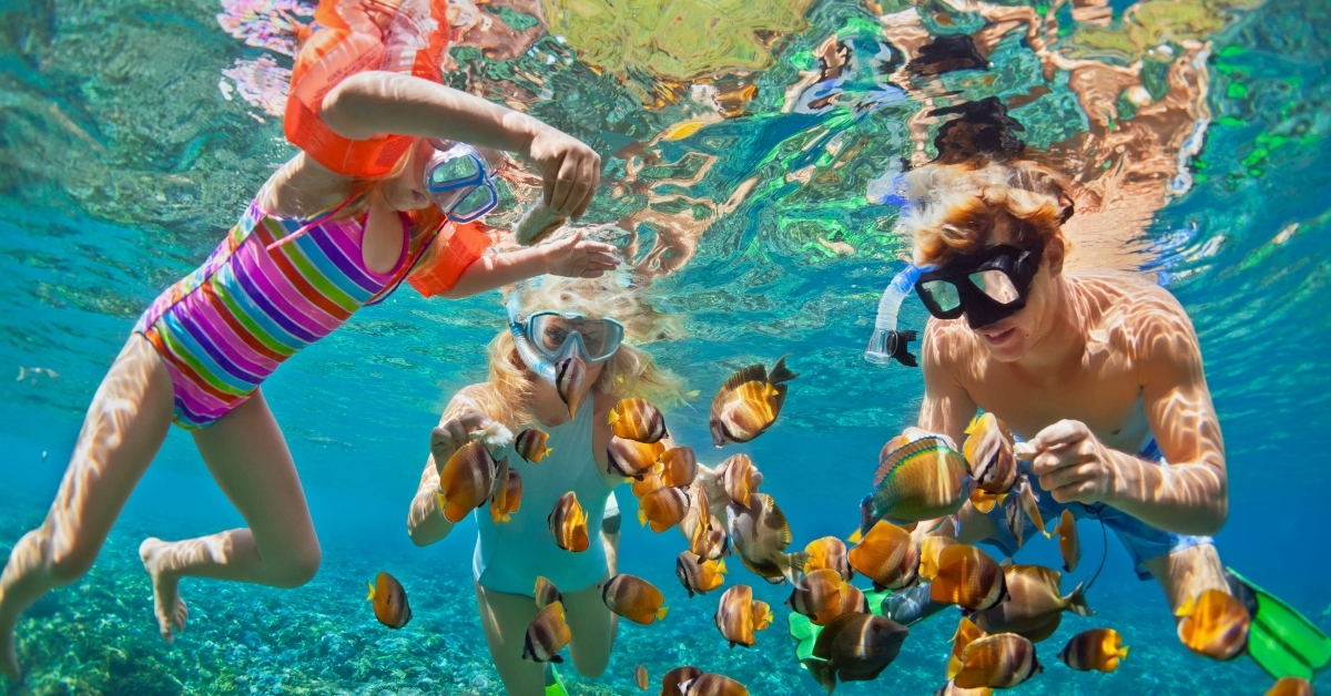 Family snorkeling