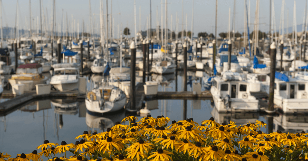 Boats at dock