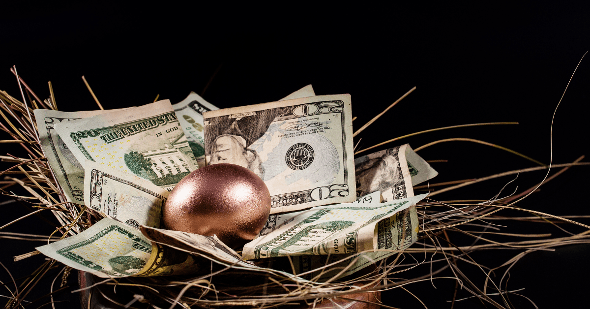 'Nest egg' with money around it