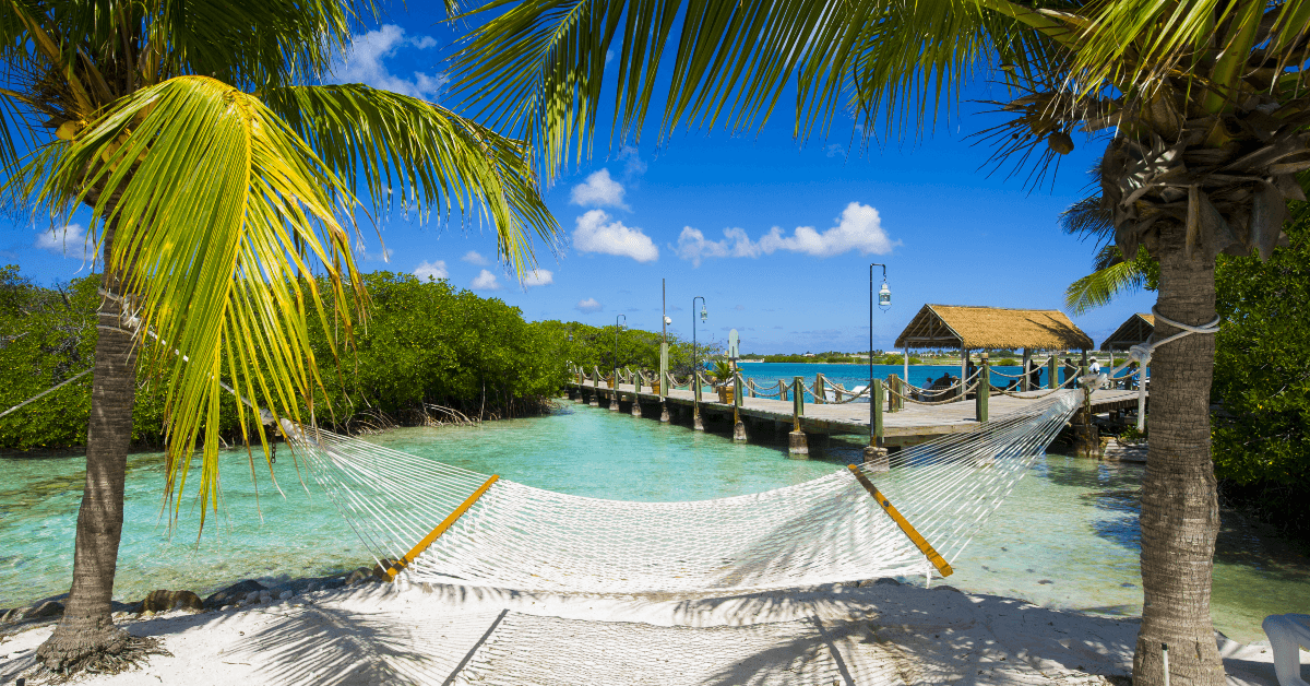beach hammock between palm trees
