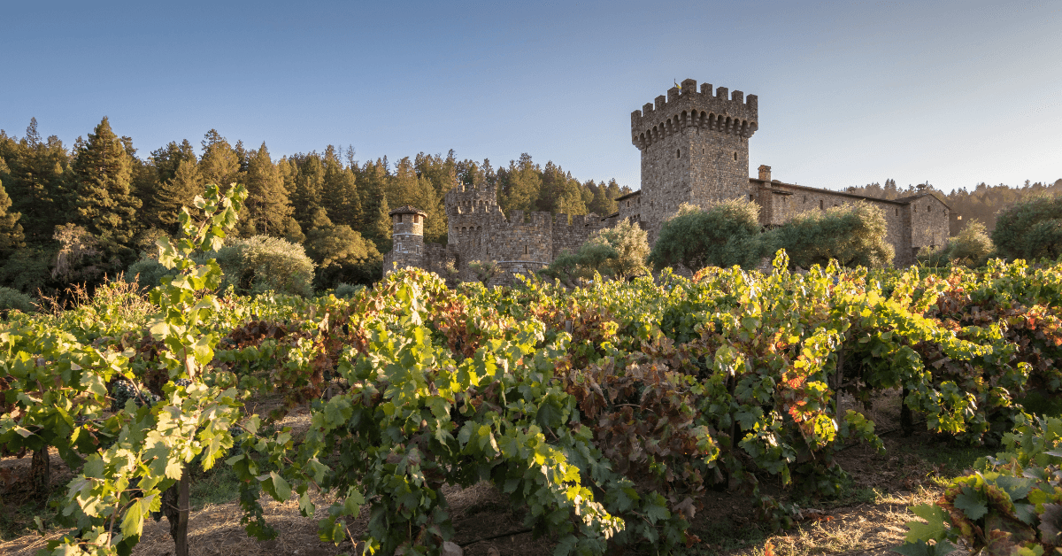 Castello di Amorosa