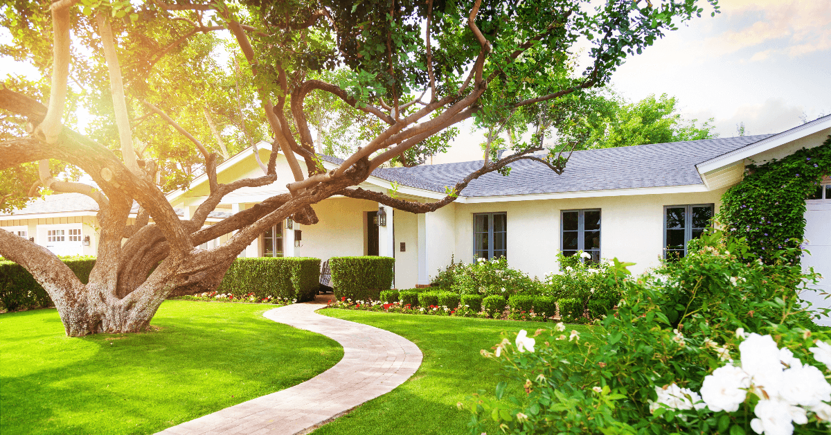 Front lawn of house