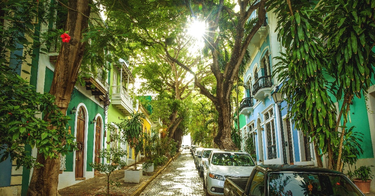 beautiful street full of trees in old san juan puerto rico