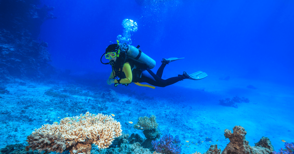 Diver in ocean