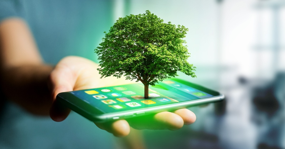 Green tree going out of a smartphone