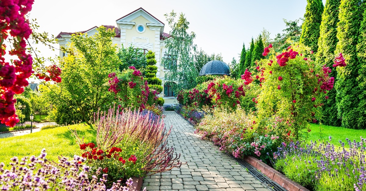 beautiful landscaping with beautiful plants