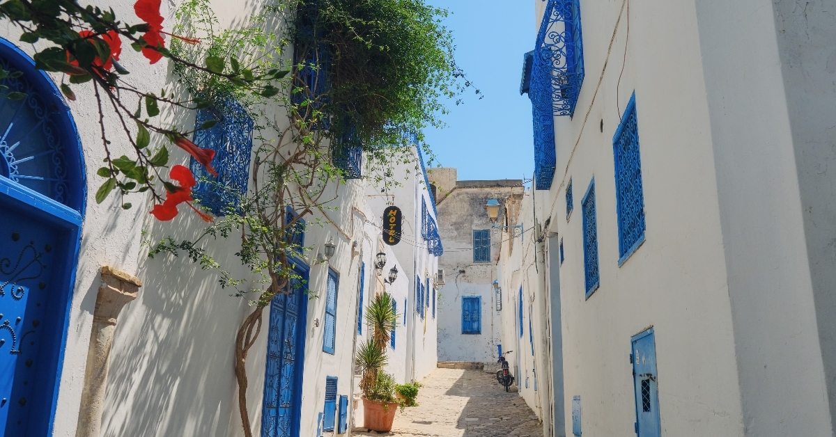 Street in Sidi Bou Said