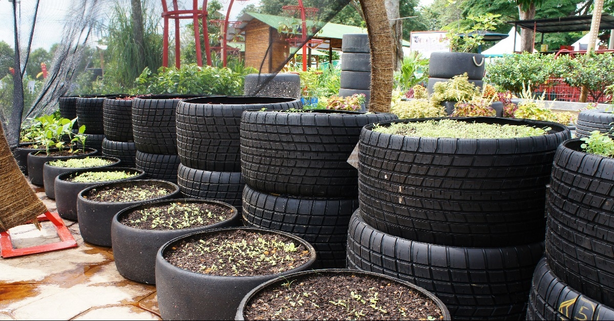 plant planter box is made from used F1 racing car tires