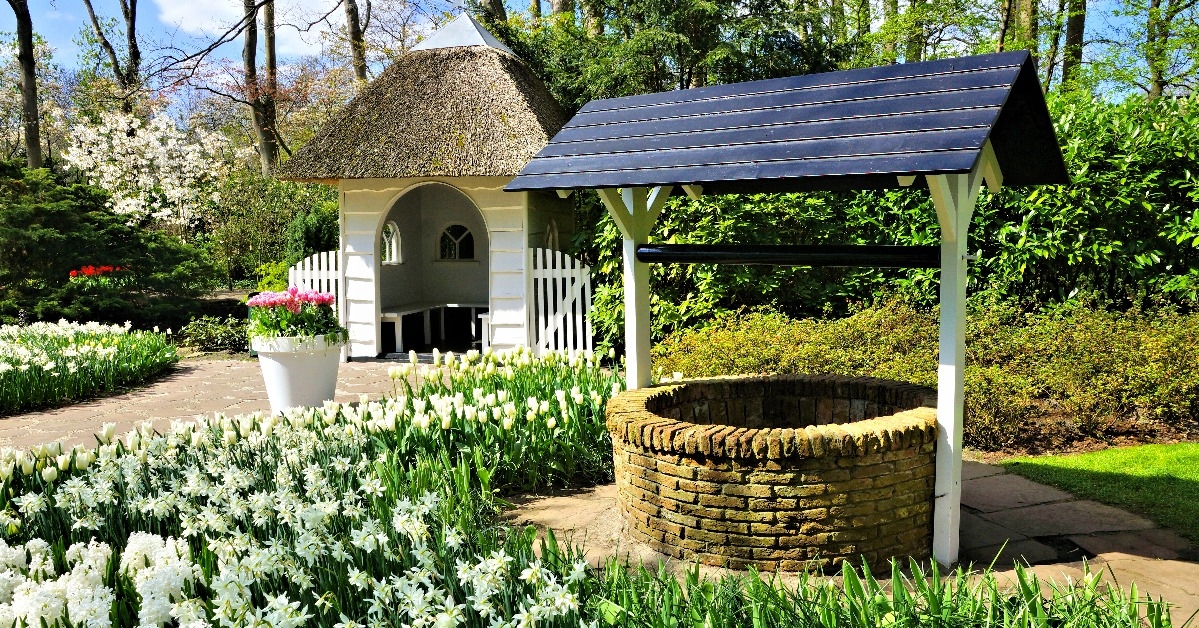 Small cottage and wishing well surrounded by spring daffodil flowers