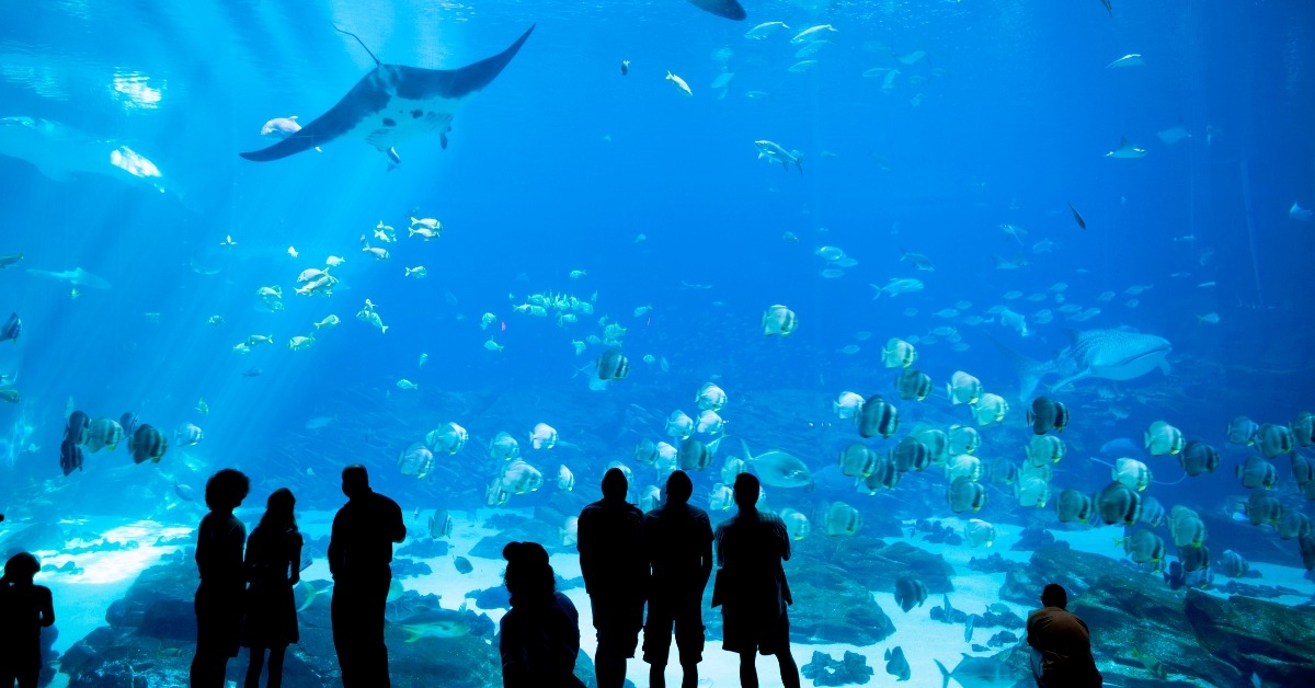 aquarium in atlanta georgia