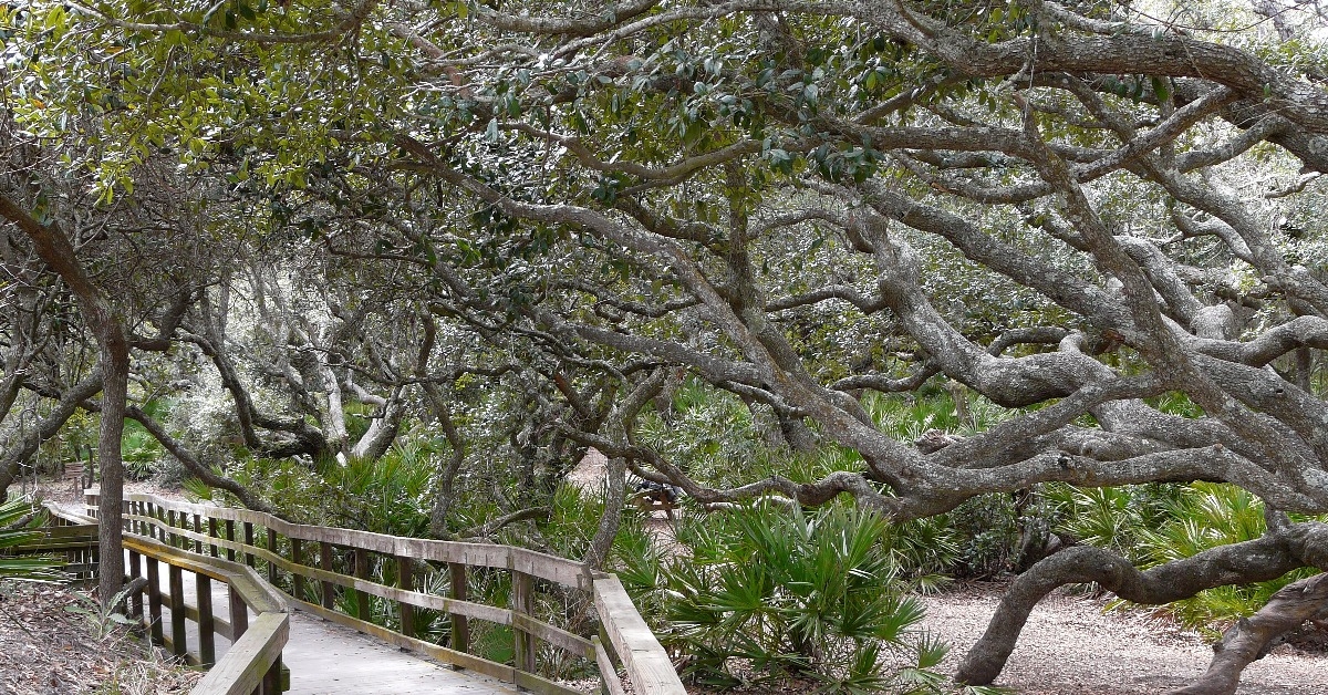 Cumberland Island Georgia Sea Camp boardwalk