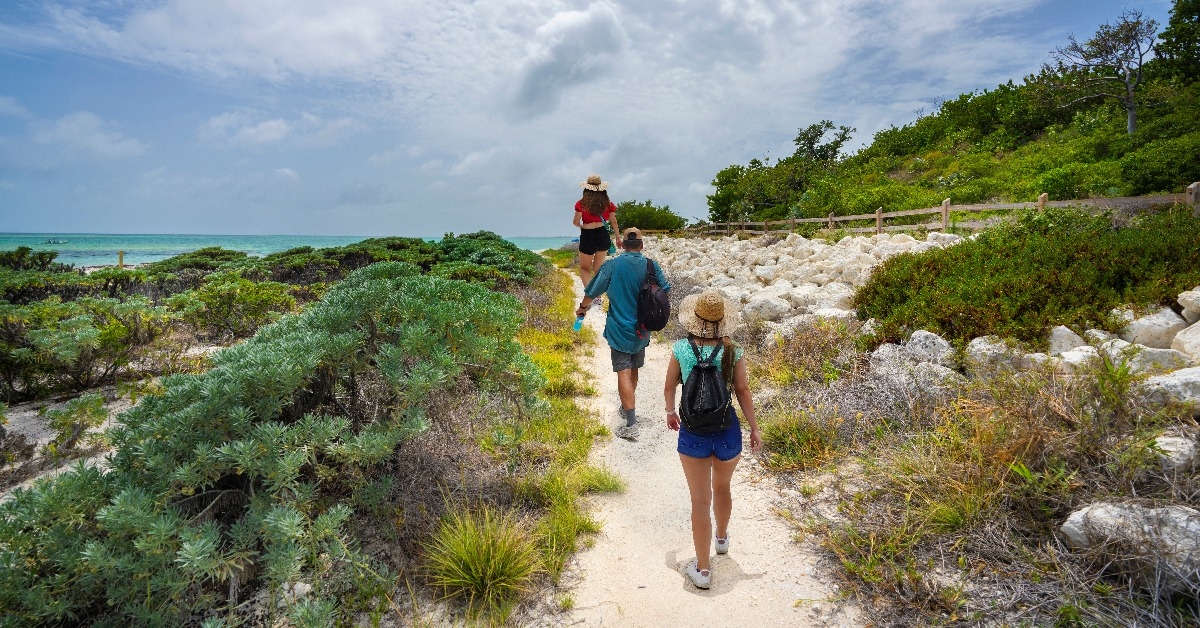 Family walking to the beach with sand dunes