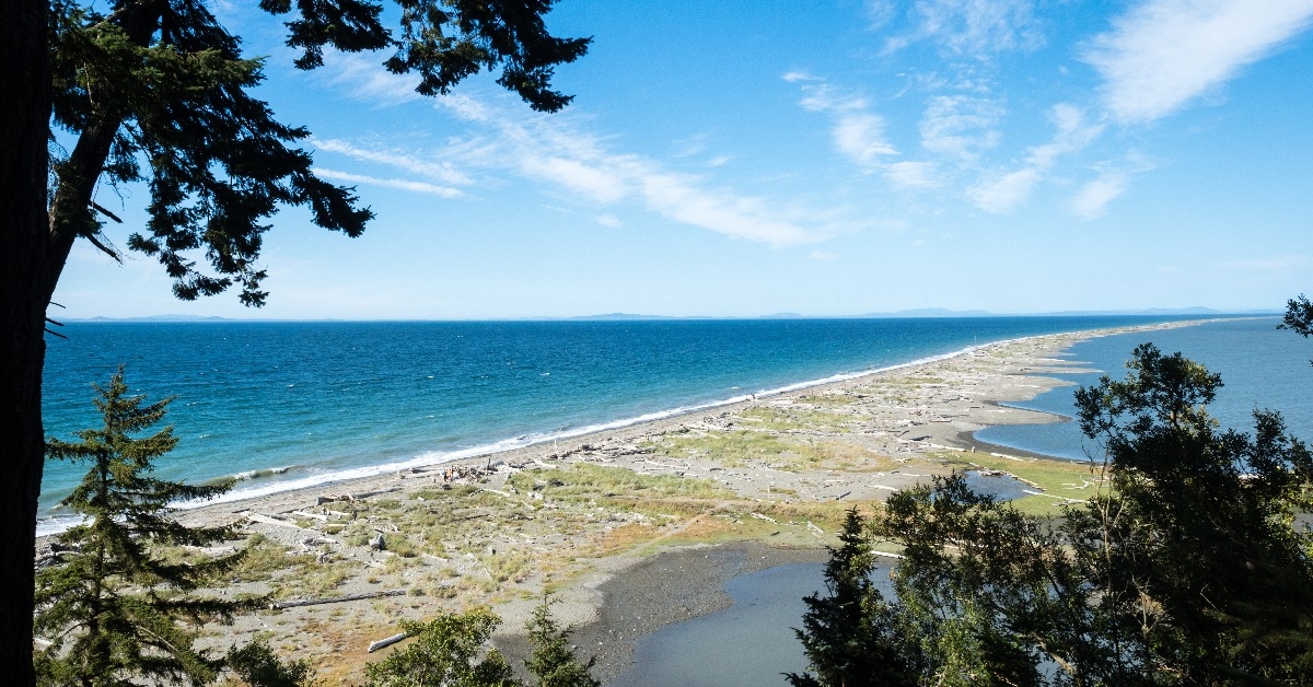 Scenic view of Dungeness Spit