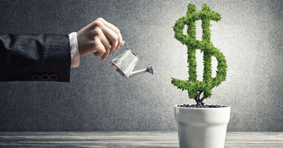 investment income and growth with money tree in pot