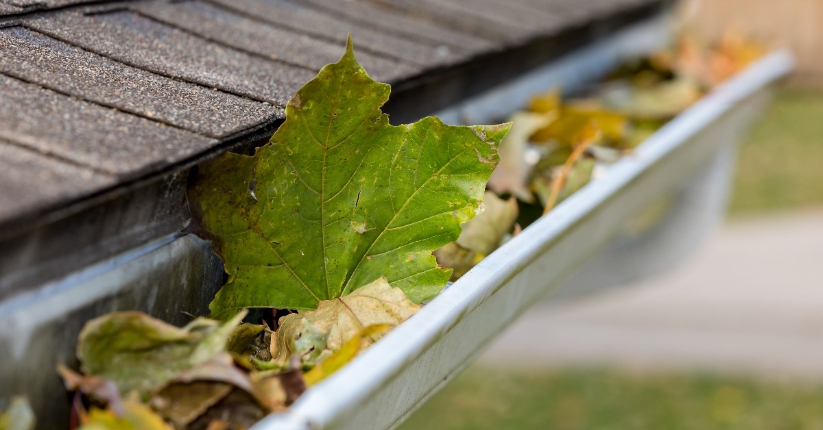 clogged gutter