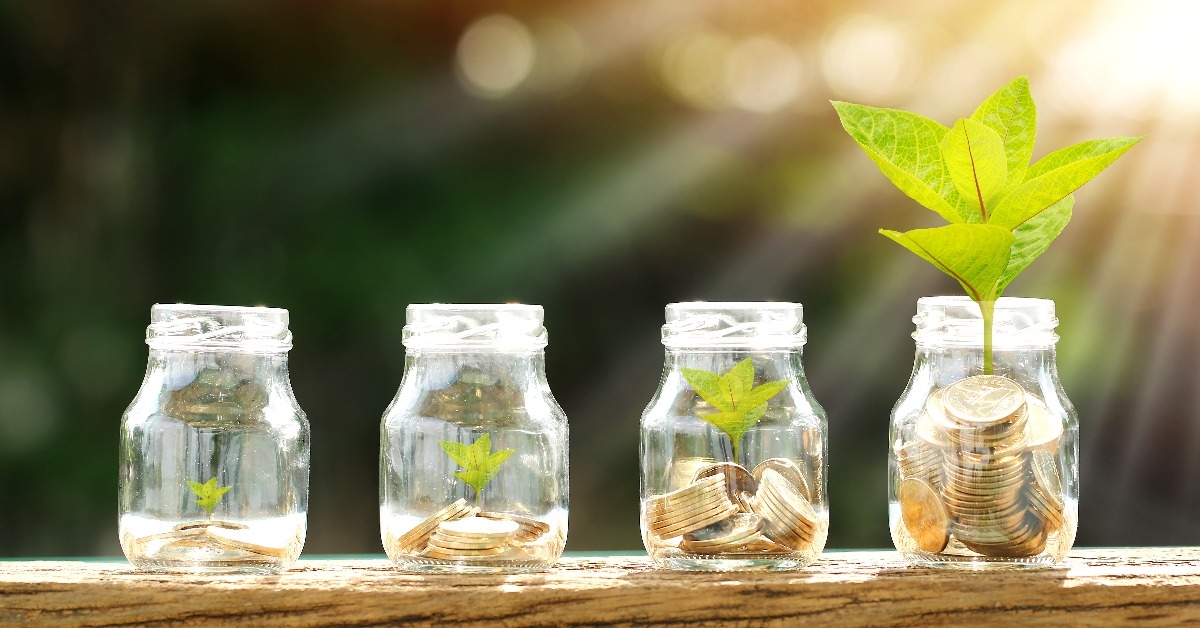Coin in the bottle and plant growing