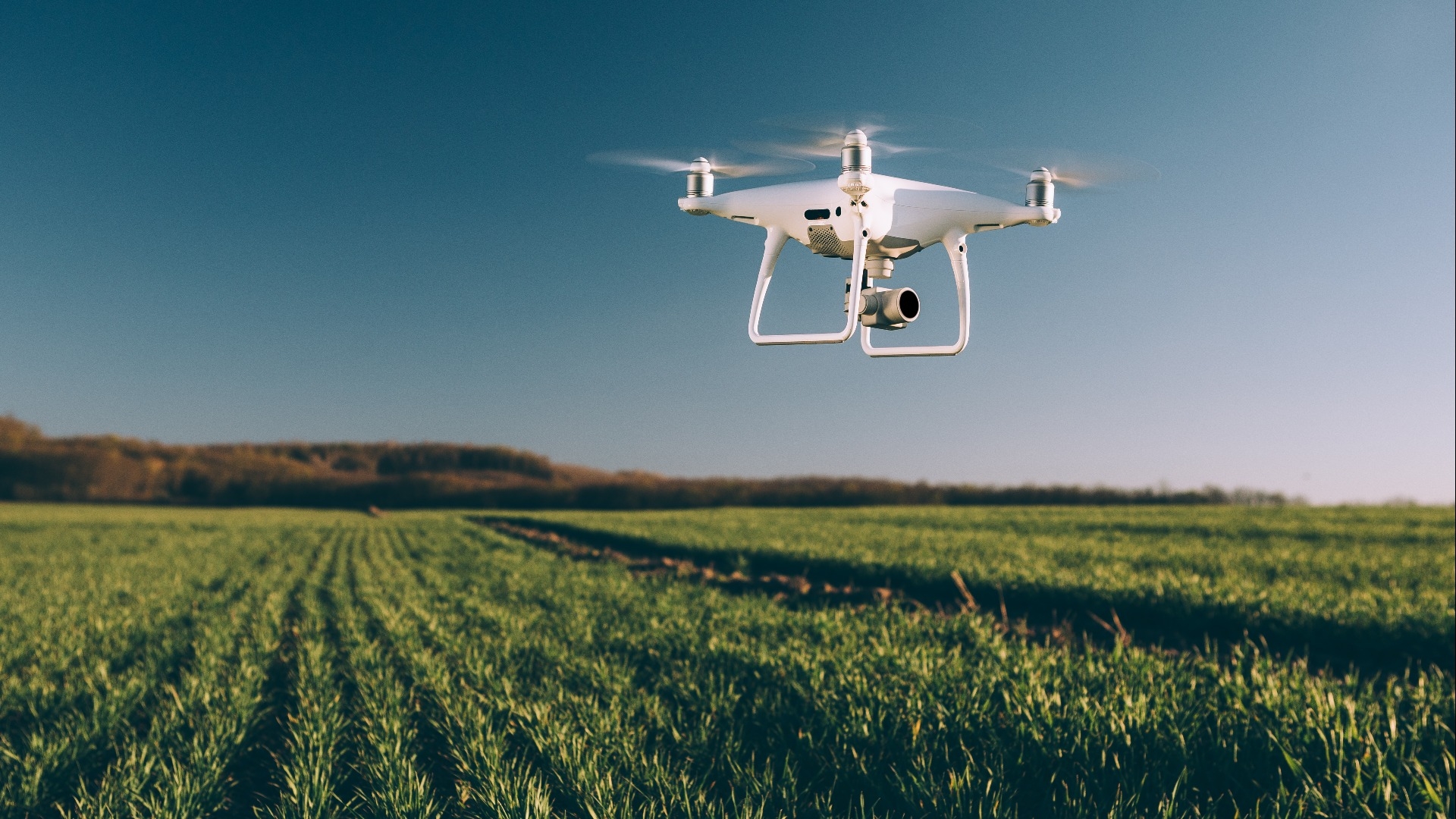 drone quad copter on green corn field