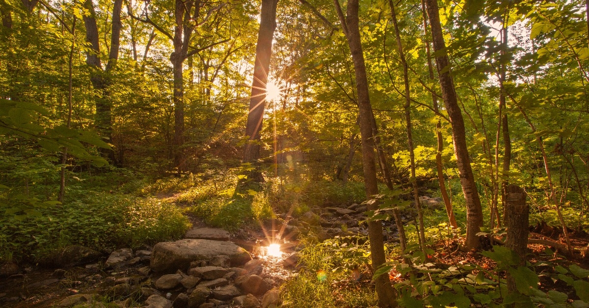Sunset in Springside Park in Pittsfield Massachusetts