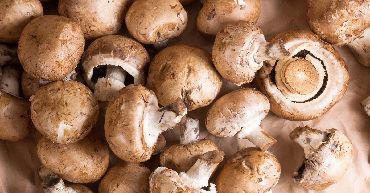 brown mushrooms