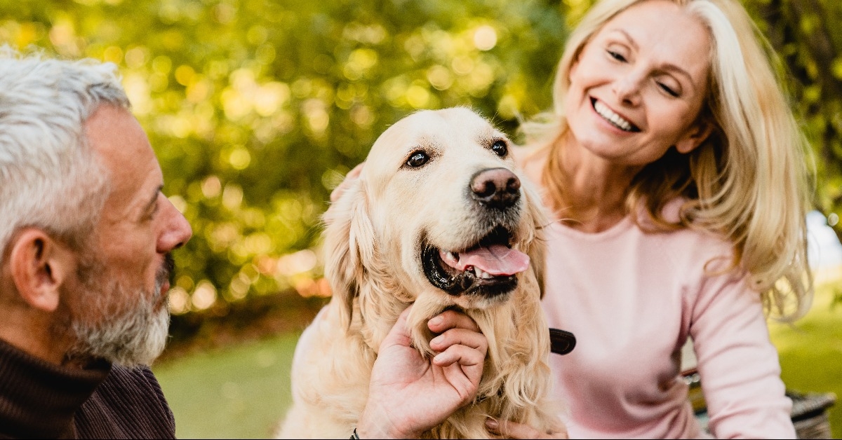 happy caucasian senior couple petting their dog in autumn park