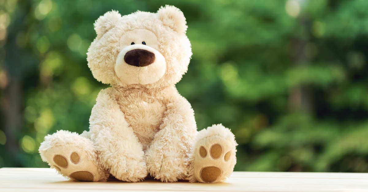 teddy bear on a shiny green forest background