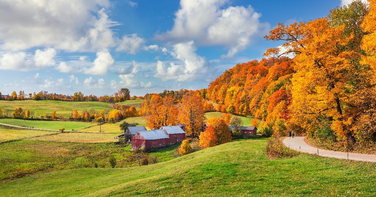 golden fall colors in Vermont Countryside farm