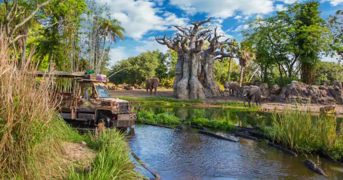 Disney Kilimanjaro Safari