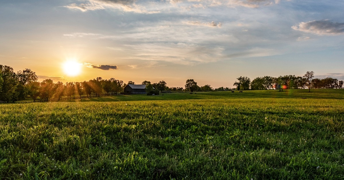 Kentucky horse farm landscape