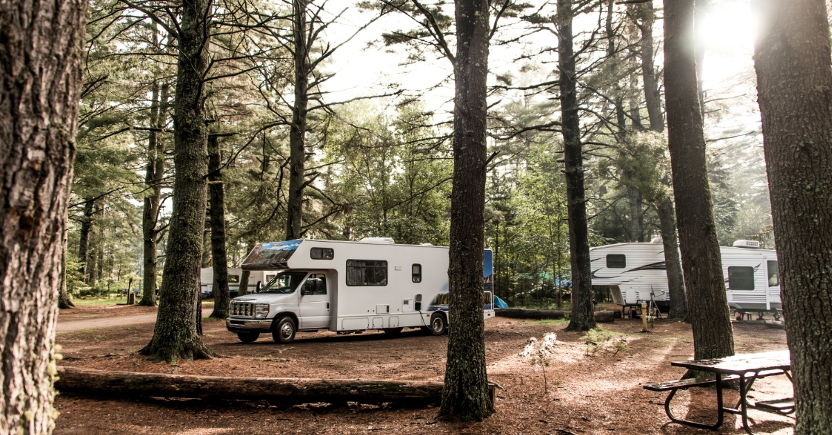 RV stranded in the middle of a forest