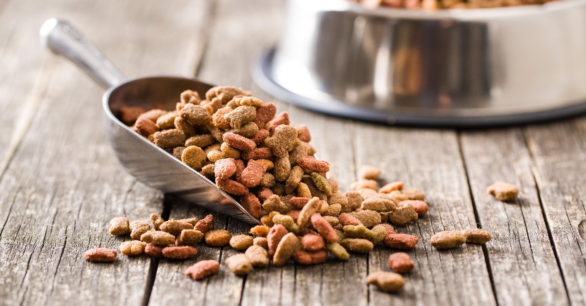 dry kibble food