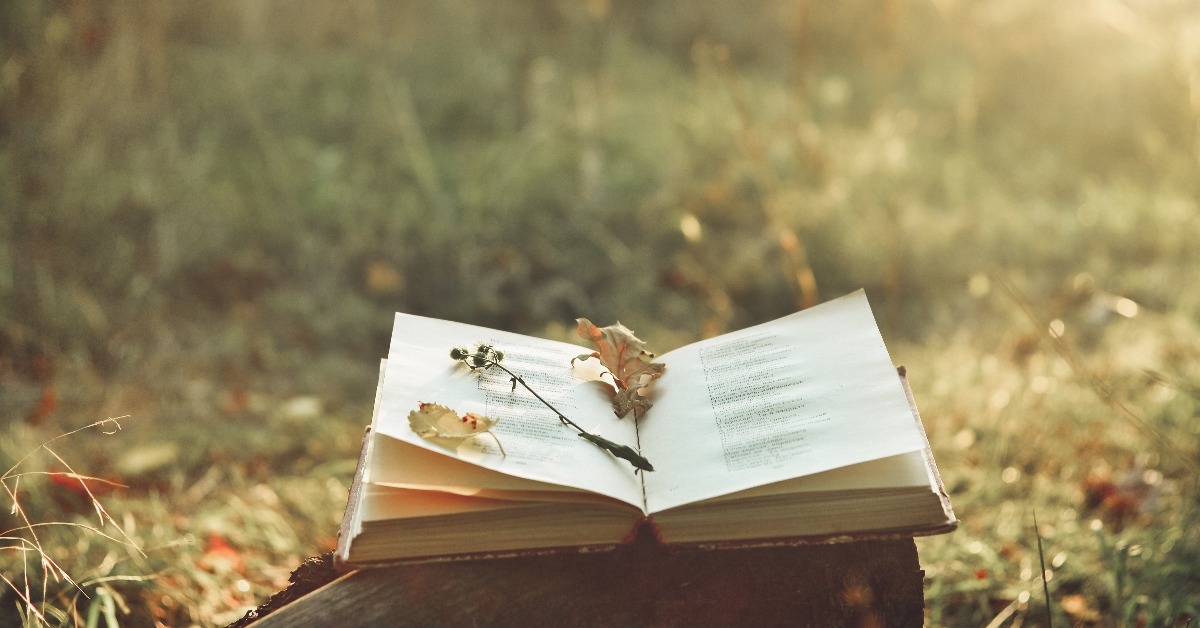 vintage book of poetry outdoors
