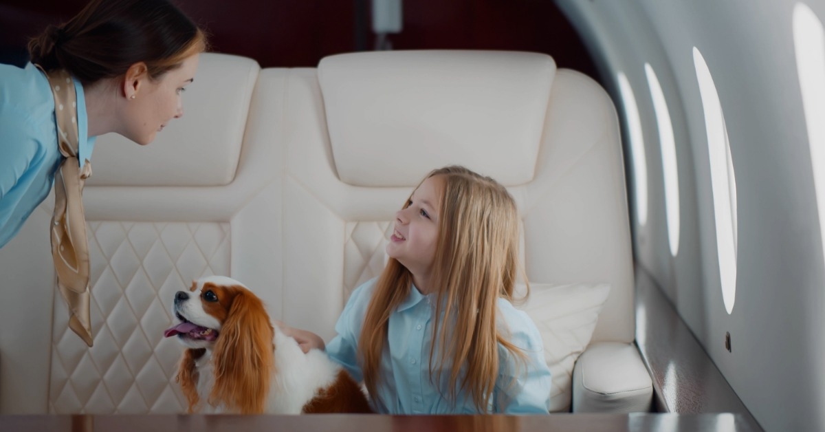 stewardess talking to little girl traveling with pet