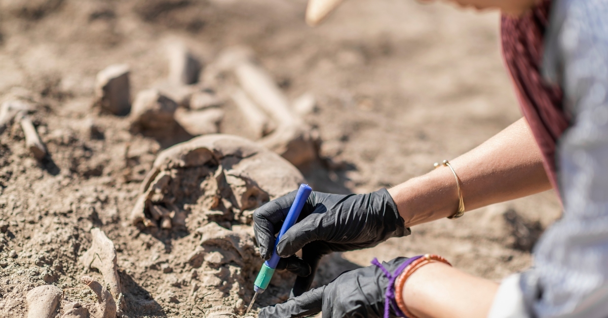 hands dusting off dinosaur bones in archeological excavation