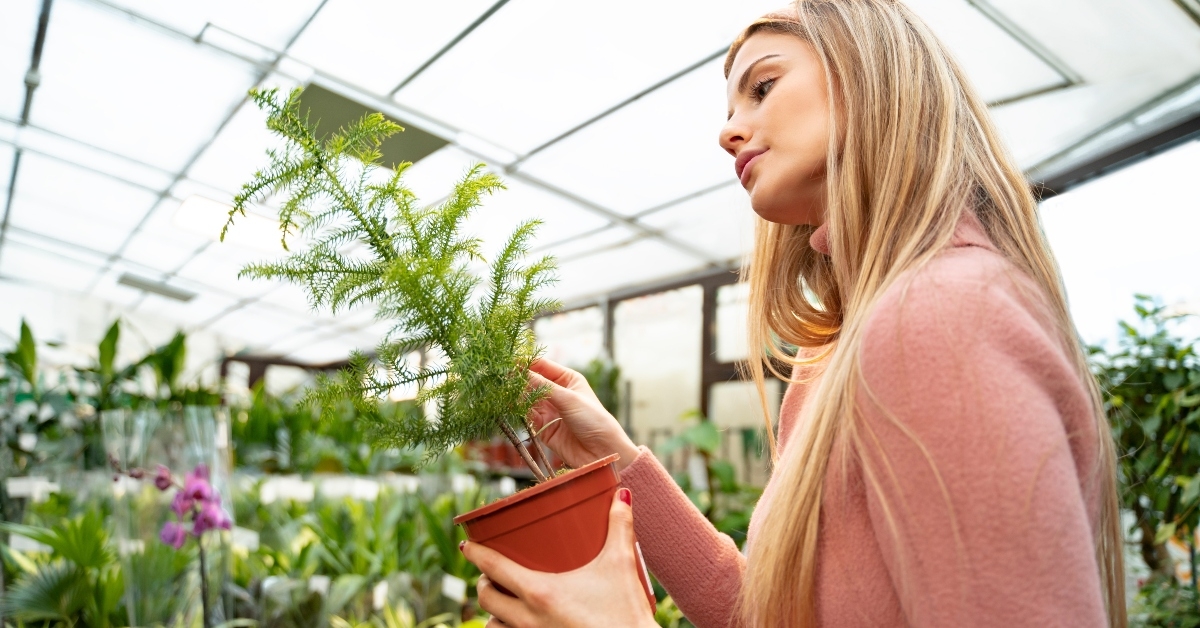 woman shopping for potted plants