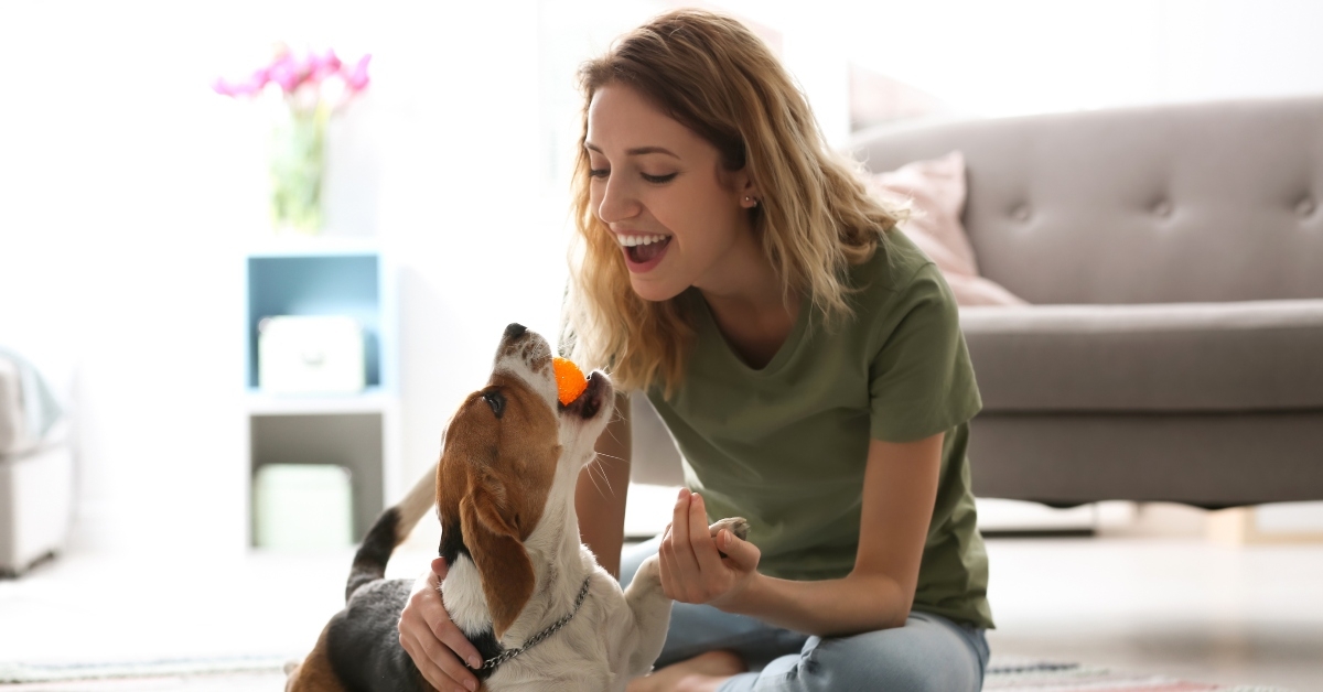 young woman playing with her dog at home