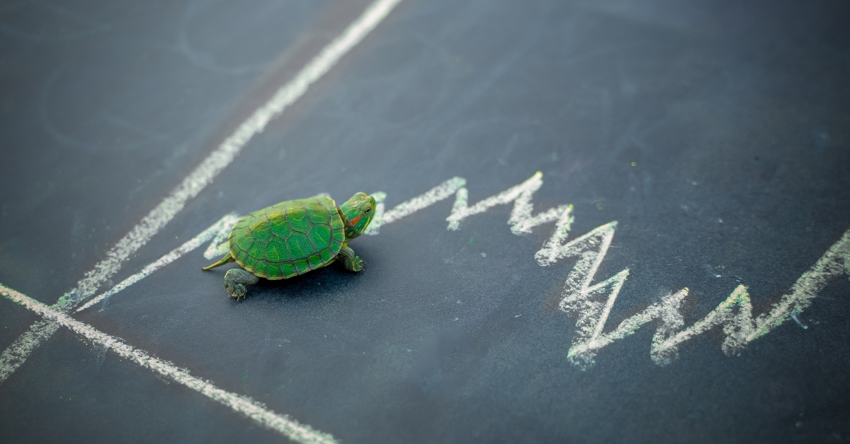 miniature figure turtle walking on chalkboard