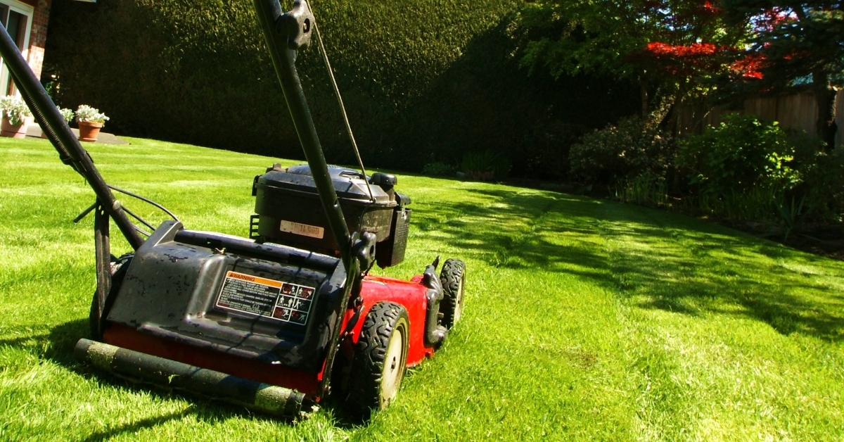 lawn mowing