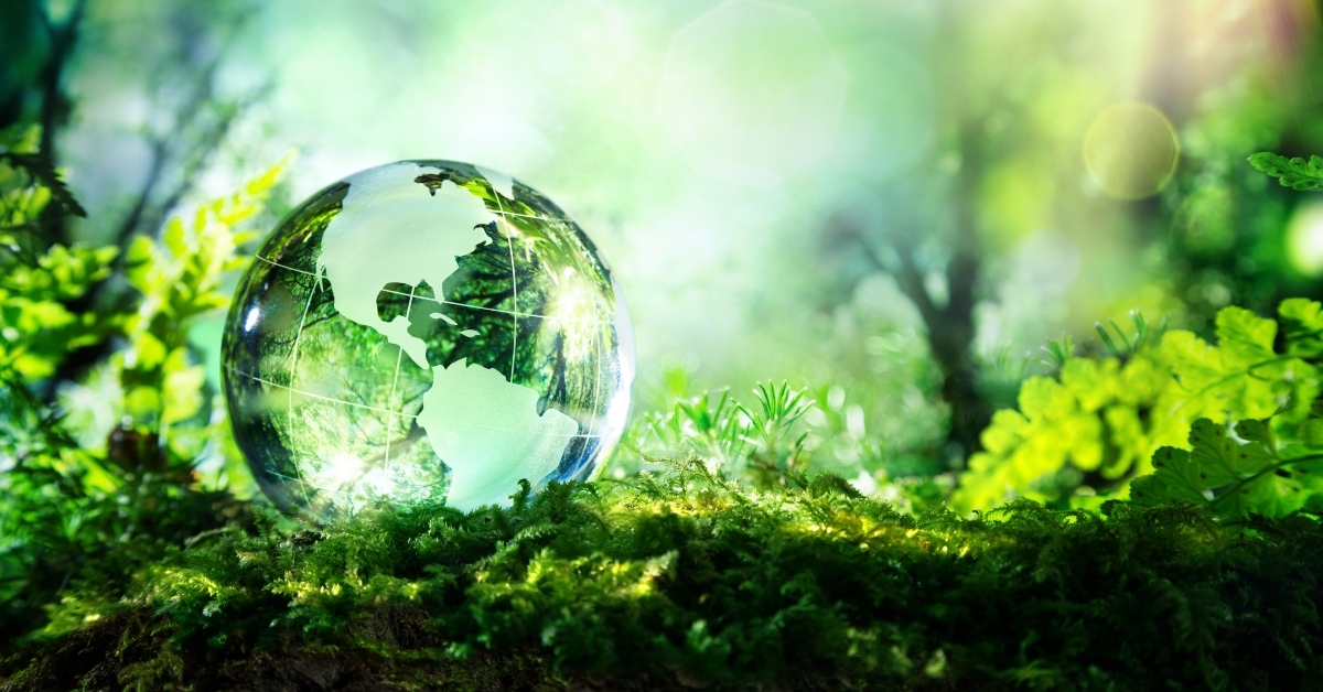 crystal globe on moss in a forest