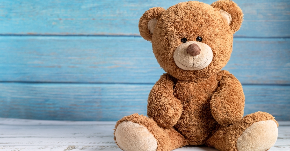 cute teddy bear