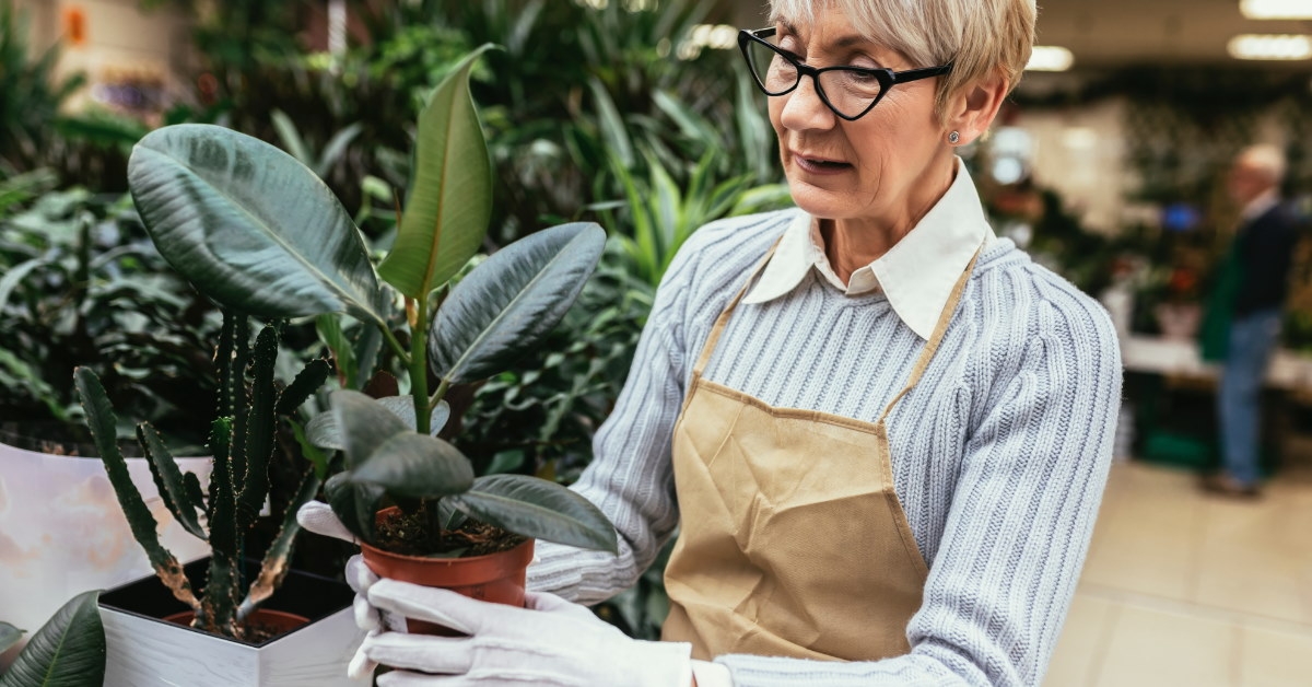 female florist inspecting flower pot