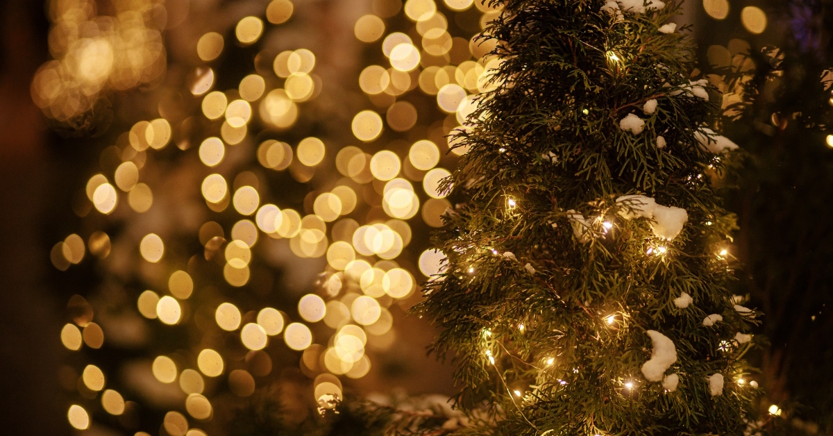 christmas tree with snowy branches over bokeh golden lights in background
