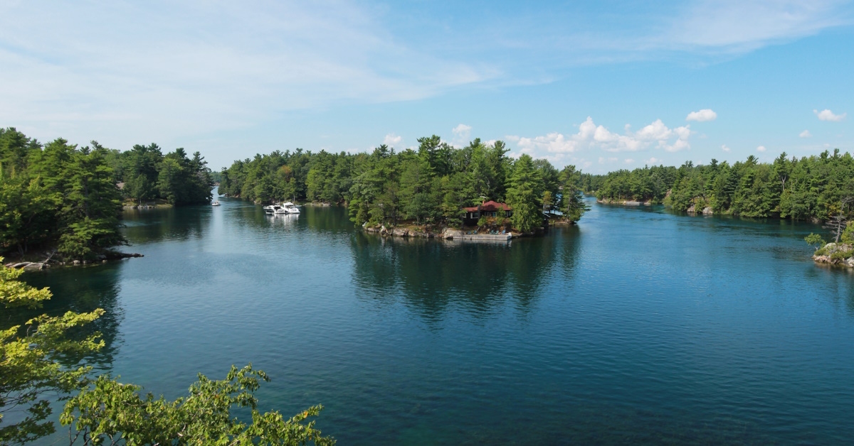 A view of lake surrounded by greenery and trees around it at Thousand islands