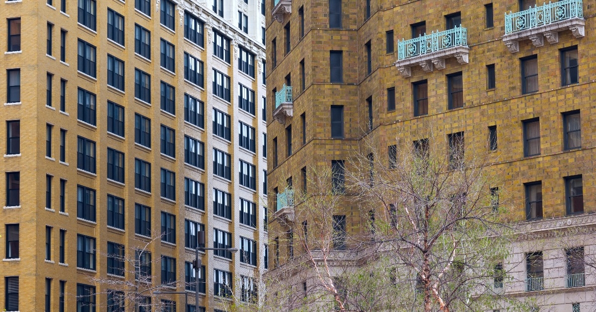 historic high rise buildings located parallel to each other with barren trees on street in downtown saint paul minnesota